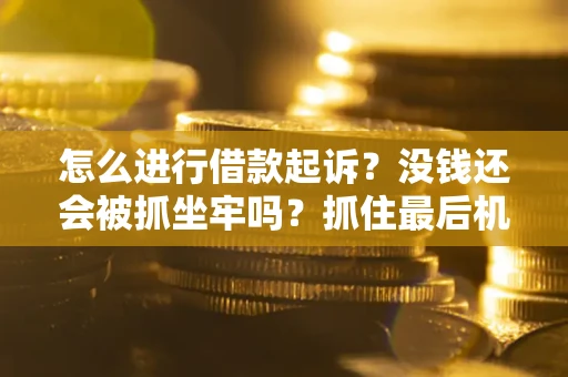 北京怎么进行借款起诉？没钱还会被抓坐牢吗？抓住最后机会！