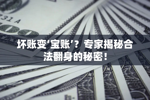 北京坏账变‘宝账’？专家揭秘合法翻身的秘密！