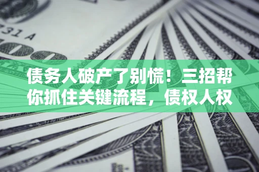 北京债务人破产了别慌！三招帮你抓住关键流程，债权人权益不再缩水