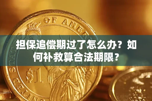 北京担保追偿期过了怎么办？如何补救算合法期限？