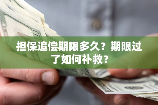 北京担保追偿期限多久？期限过了如何补救？