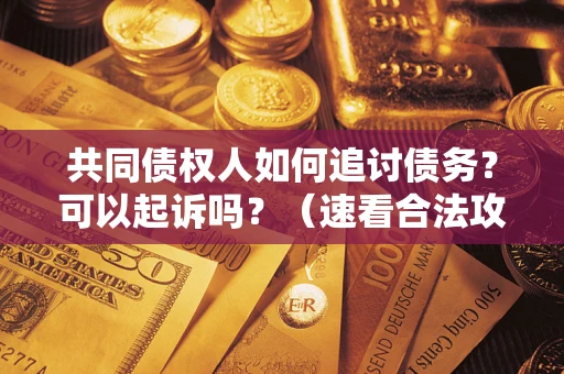北京共同债权人如何追讨债务？可以起诉吗？（速看合法攻略）